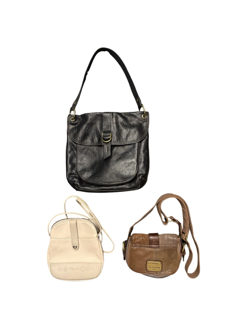 Fossil bundle